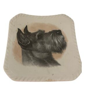 Royal Adderley Floral Bone China Schnauzer trinket dish. Made in England